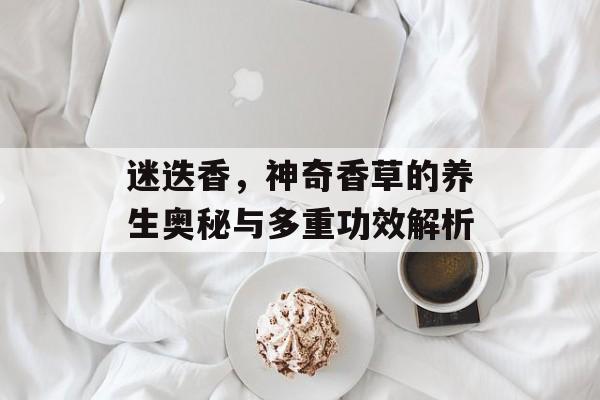 迷迭香，神奇香草的养生奥秘与多重功效解析