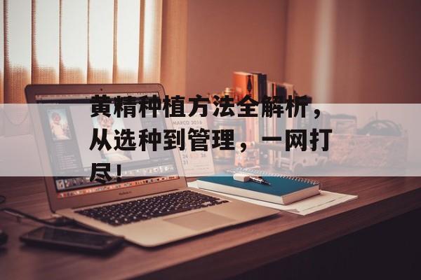 黄精种植方法全解析，从选种到管理，一网打尽！