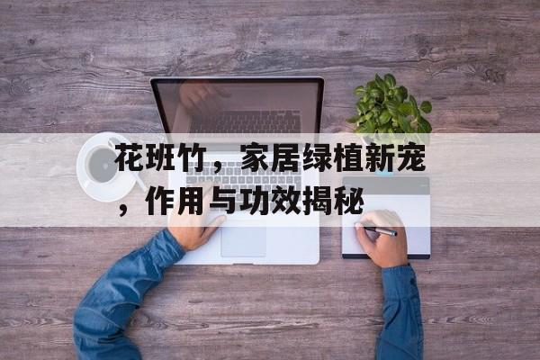 花班竹，家居绿植新宠，作用与功效揭秘