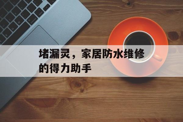 堵漏灵，家居防水维修的得力助手