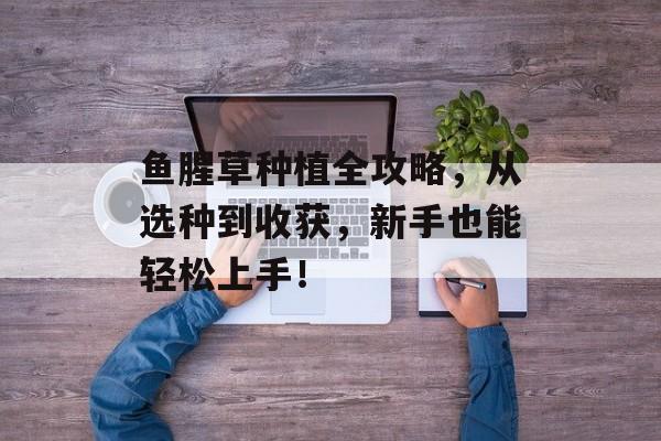 鱼腥草种植全攻略，从选种到收获，新手也能轻松上手！