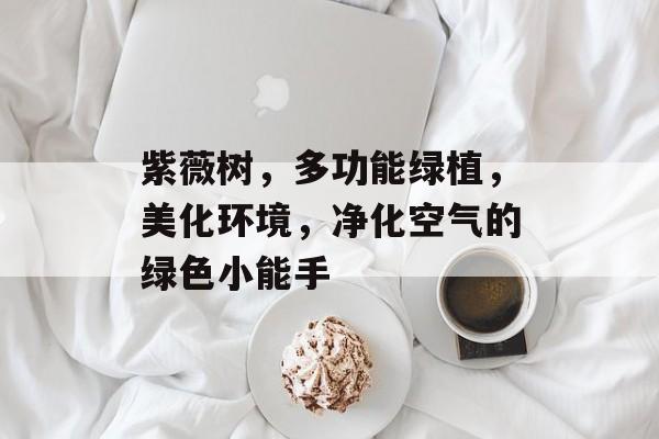紫薇树，多功能绿植，美化环境，净化空气的绿色小能手