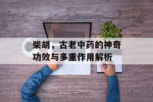 柴胡，古老中药的神奇功效与多重作用解析