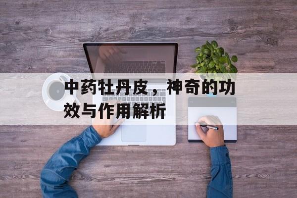 中药牡丹皮，神奇的功效与作用解析