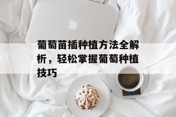 葡萄苗插种植方法全解析，轻松掌握葡萄种植技巧