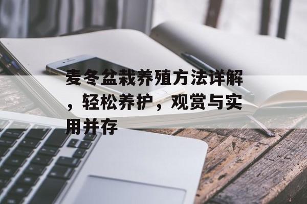 麦冬盆栽养殖方法详解，轻松养护，观赏与实用并存
