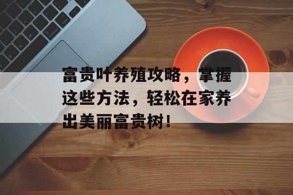 富贵叶养殖攻略，掌握这些方法，轻松在家养出美丽富贵树！