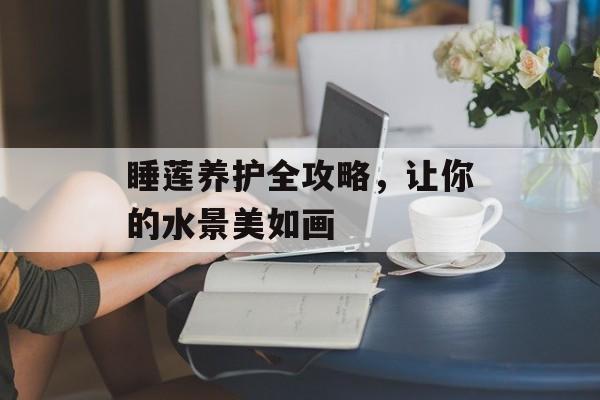 睡莲养护全攻略，让你的水景美如画