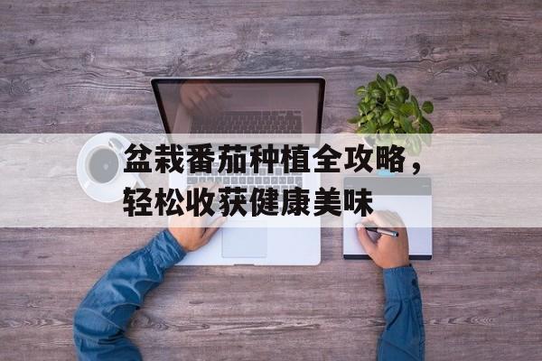 盆栽番茄种植全攻略，轻松收获健康美味