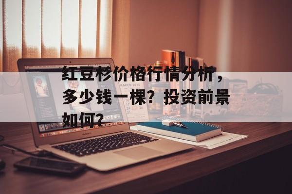 红豆杉价格行情分析，多少钱一棵？投资前景如何？