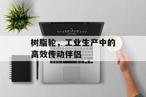 树脂轮，工业生产中的高效传动伴侣