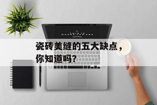 瓷砖美缝的五大缺点，你知道吗？