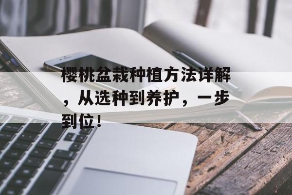 樱桃盆栽种植方法详解，从选种到养护，一步到位！