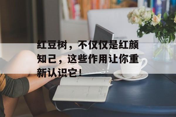 红豆树，不仅仅是红颜知己，这些作用让你重新认识它！