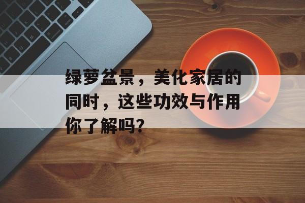 绿萝盆景，美化家居的同时，这些功效与作用你了解吗？