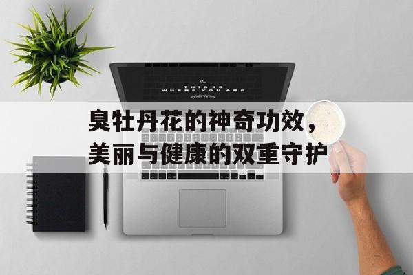 臭牡丹花的神奇功效，美丽与健康的双重守护
