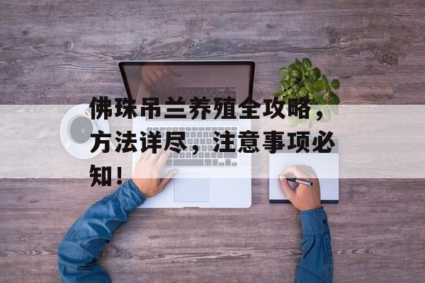 佛珠吊兰养殖全攻略，方法详尽，注意事项必知！