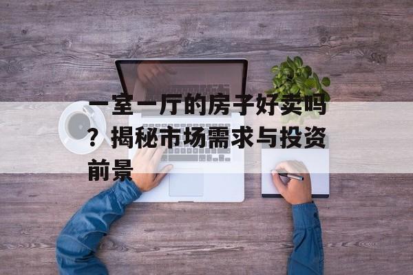 一室一厅的房子好卖吗？揭秘市场需求与投资前景