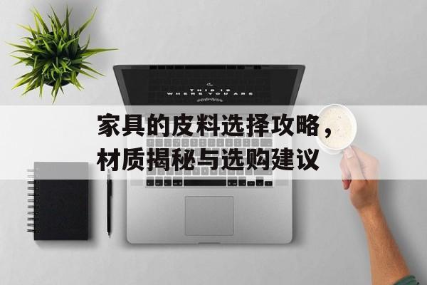 家具的皮料选择攻略，材质揭秘与选购建议