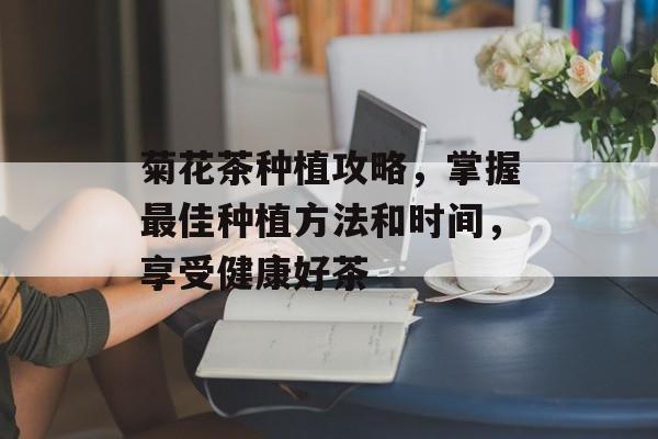 菊花茶种植攻略，掌握最佳种植方法和时间，享受健康好茶