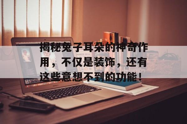 揭秘兔子耳朵的神奇作用，不仅是装饰，还有这些意想不到的功能！