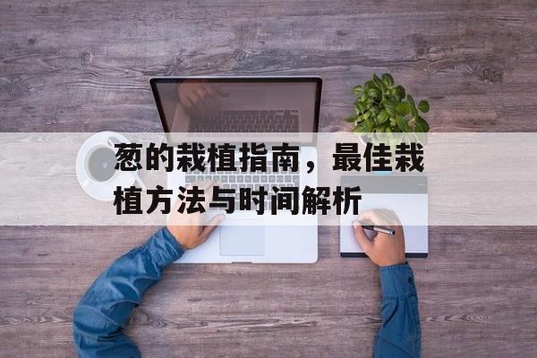 葱的栽植指南，最佳栽植方法与时间解析
