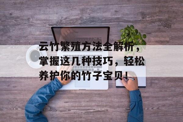 云竹繁殖方法全解析，掌握这几种技巧，轻松养护你的竹子宝贝！