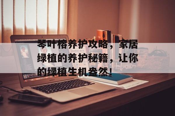 琴叶榕养护攻略，家居绿植的养护秘籍，让你的绿植生机盎然！