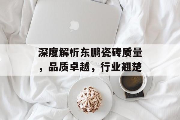 深度解析东鹏瓷砖质量，品质卓越，行业翘楚