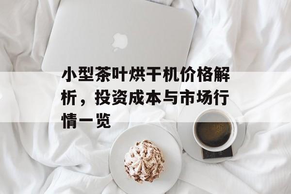 小型茶叶烘干机价格解析，投资成本与市场行情一览