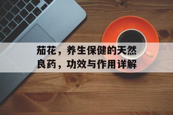 茄花，养生保健的天然良药，功效与作用详解