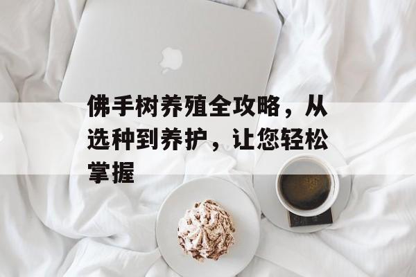 佛手树养殖全攻略，从选种到养护，让您轻松掌握
