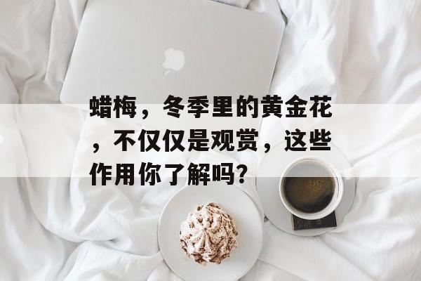 蜡梅，冬季里的黄金花，不仅仅是观赏，这些作用你了解吗？