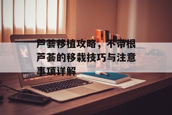 芦荟移植攻略，不带根芦荟的移栽技巧与注意事项详解