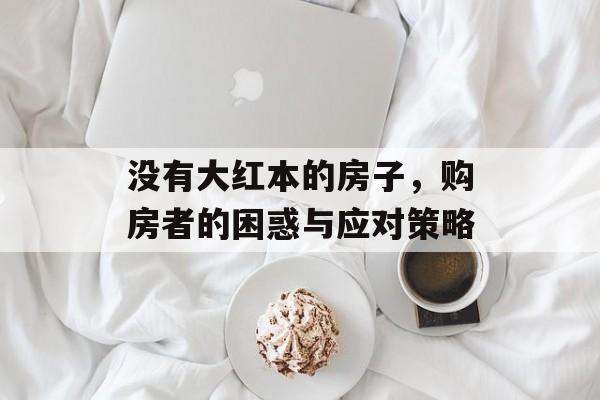 没有大红本的房子，购房者的困惑与应对策略