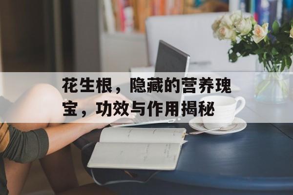花生根，隐藏的营养瑰宝，功效与作用揭秘