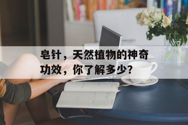 皂针，天然植物的神奇功效，你了解多少？