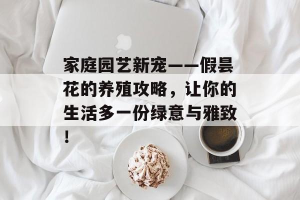 家庭园艺新宠——假昙花的养殖攻略，让你的生活多一份绿意与雅致！