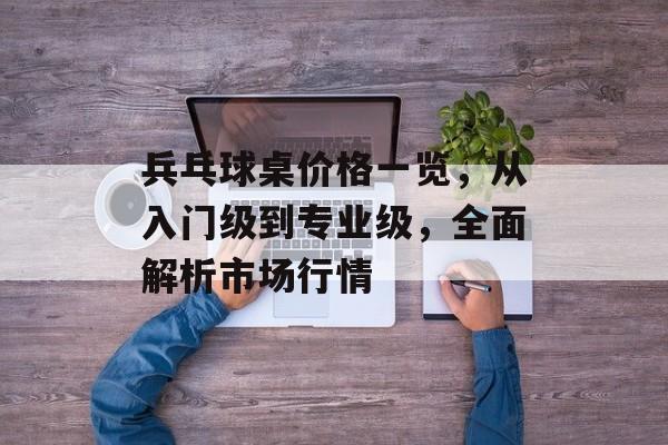 兵乓球桌价格一览，从入门级到专业级，全面解析市场行情