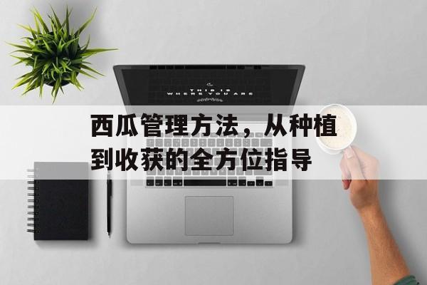 西瓜管理方法，从种植到收获的全方位指导