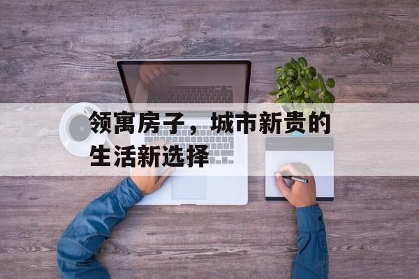 领寓房子，城市新贵的生活新选择