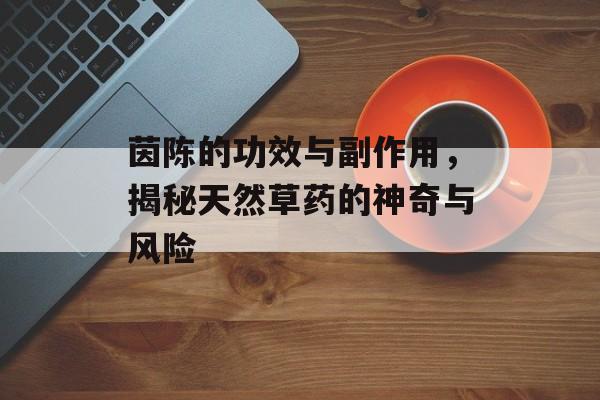 茵陈的功效与副作用，揭秘天然草药的神奇与风险