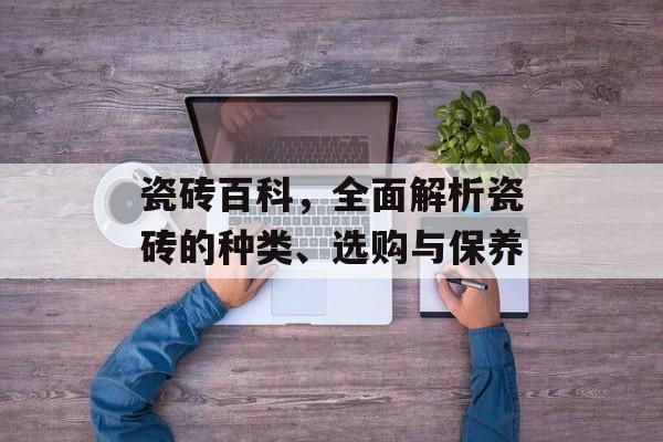 瓷砖百科，全面解析瓷砖的种类、选购与保养
