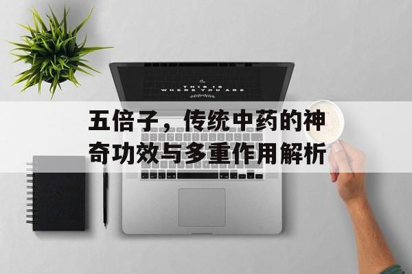 五倍子，传统中药的神奇功效与多重作用解析