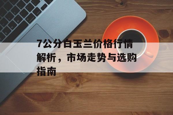 7公分白玉兰价格行情解析，市场走势与选购指南
