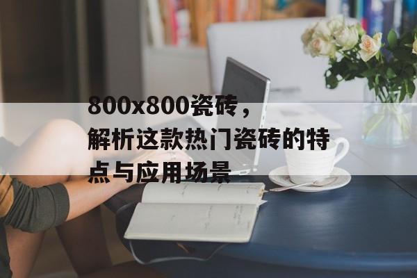800x800瓷砖，解析这款热门瓷砖的特点与应用场景