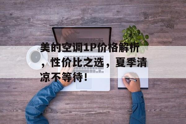 美的空调1P价格解析，性价比之选，夏季清凉不等待！