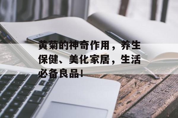 黄菊的神奇作用，养生保健、美化家居，生活必备良品！