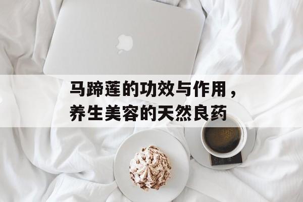 马蹄莲的功效与作用，养生美容的天然良药