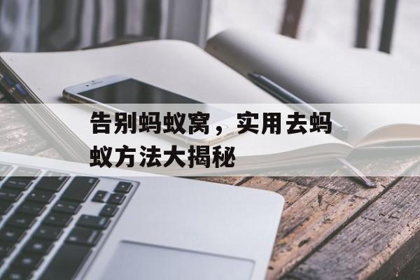 告别蚂蚁窝，实用去蚂蚁方法大揭秘